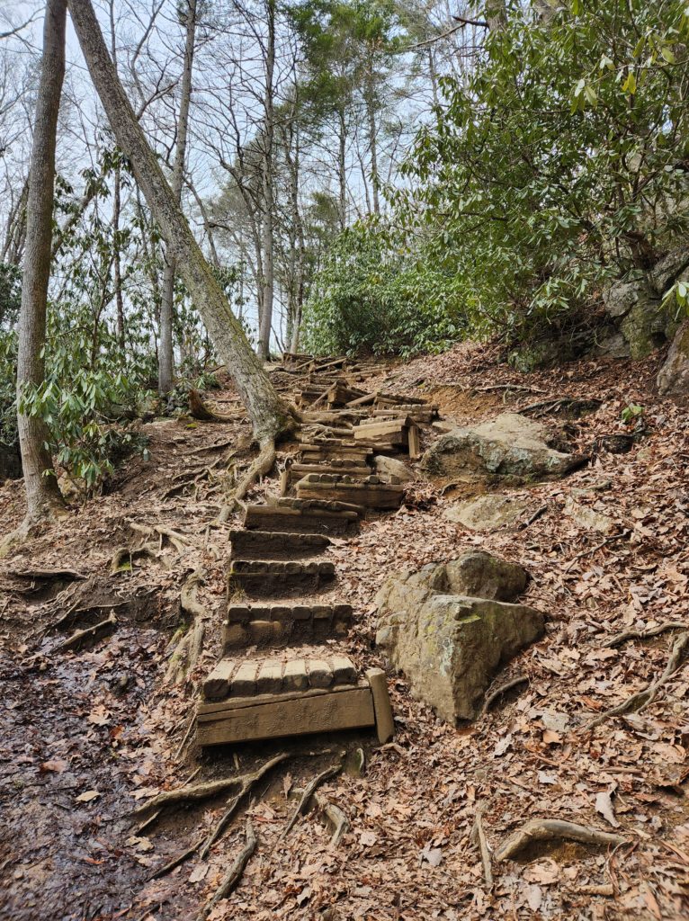 Wooden Steps in a forest at the Blue Hole in Elizabethton, TN. 