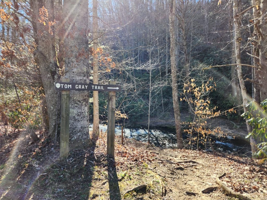 A woodland scene with trees, a dirt path, and the sun shining through the trees. A sign that reads "Tom Gray Trail", with an arrow pointing to the right, is on a wooden post. 