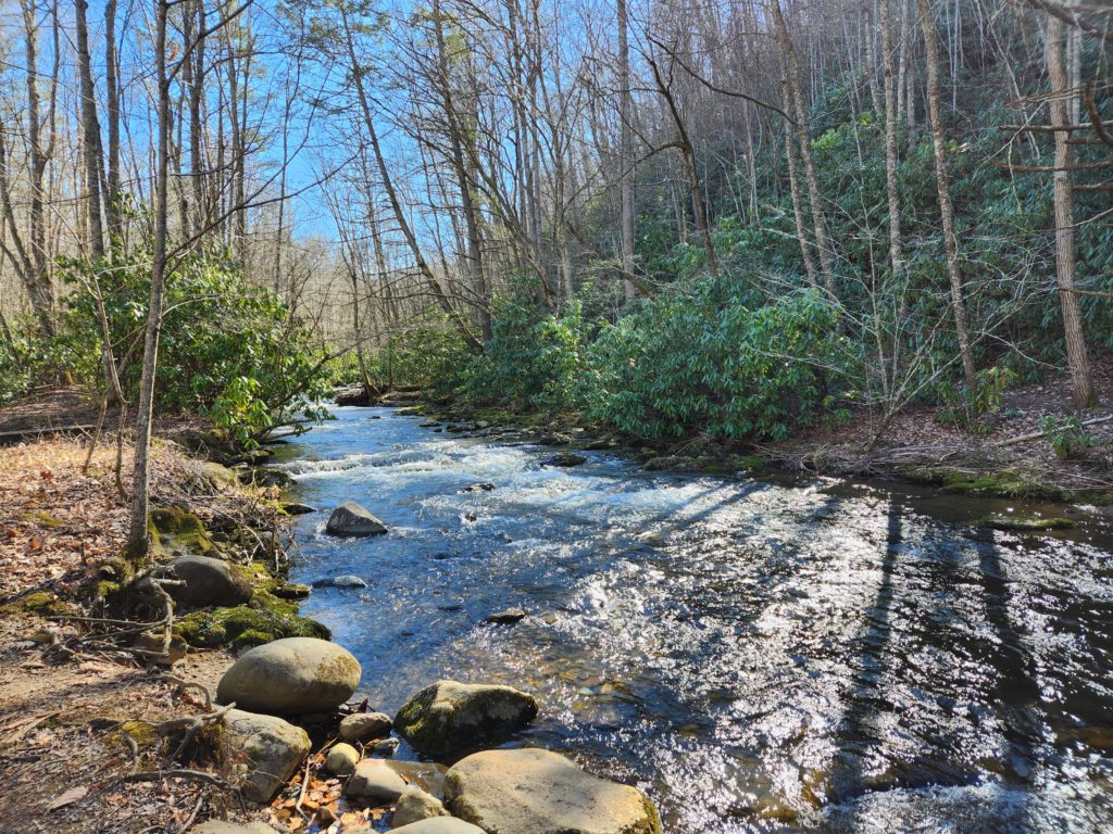A river running through the forest, with rocks along the side of it, and some blue sky in the background. On the Tom Gray Trail in Roan Mountain State Park in TN.