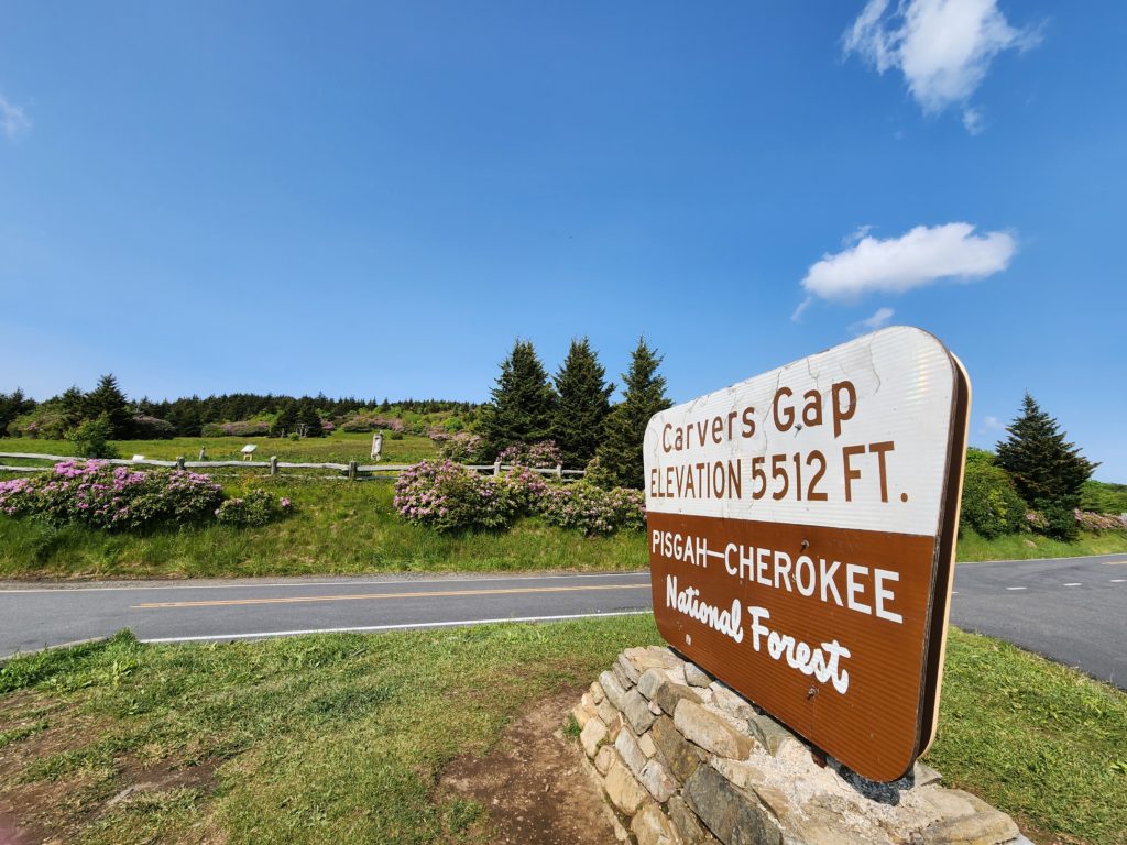 A sign that says "Carver's Gap Elevation 5512 ft. Pisgah-Cherokee National Forest" across a road from a hill with trees and flowers.