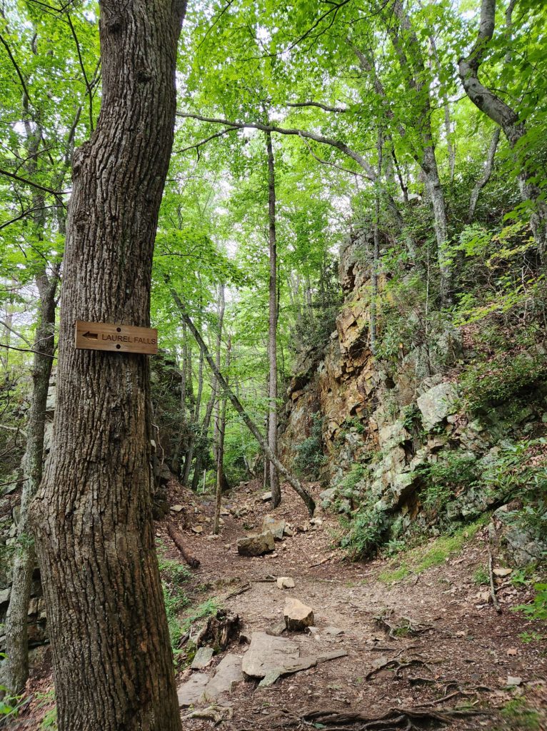A dirt trail in the forest with rocks along the way. One tree to the left has a small wooden sign that reads "Laurel Falls" with an arrow pointing to the left. 