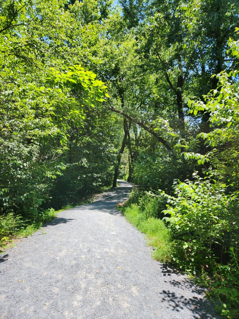 Wide gravel pathway that leads through trees on both sides at Sycamore Shoals State Park in Elizabethton, TN.