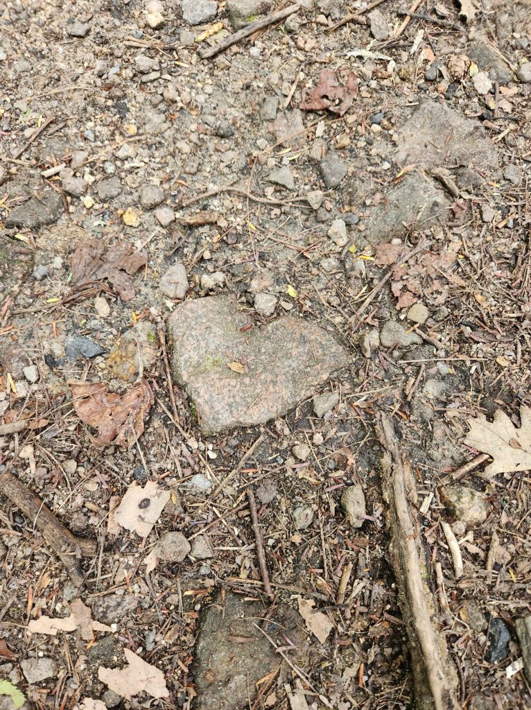 A heart shaped rock laying on a dirt path.
