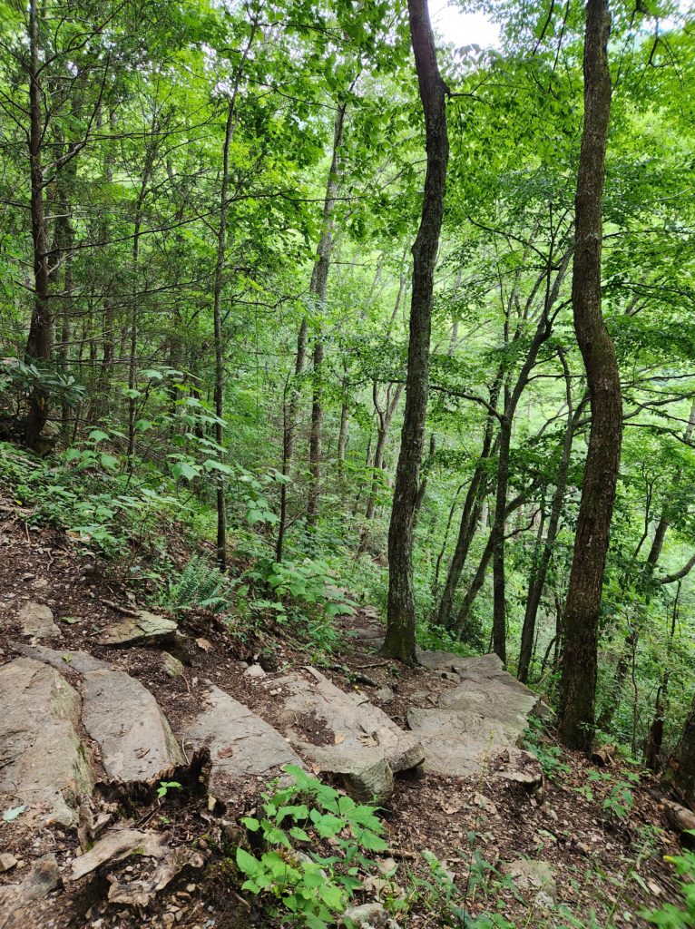 Rock steps leading down into the forest, towards Laurel Falls in Hampton, TN.
