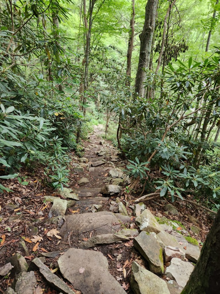 Rock and dirt path leading down into the forest, towards Laurel Falls in Hampton, TN. 