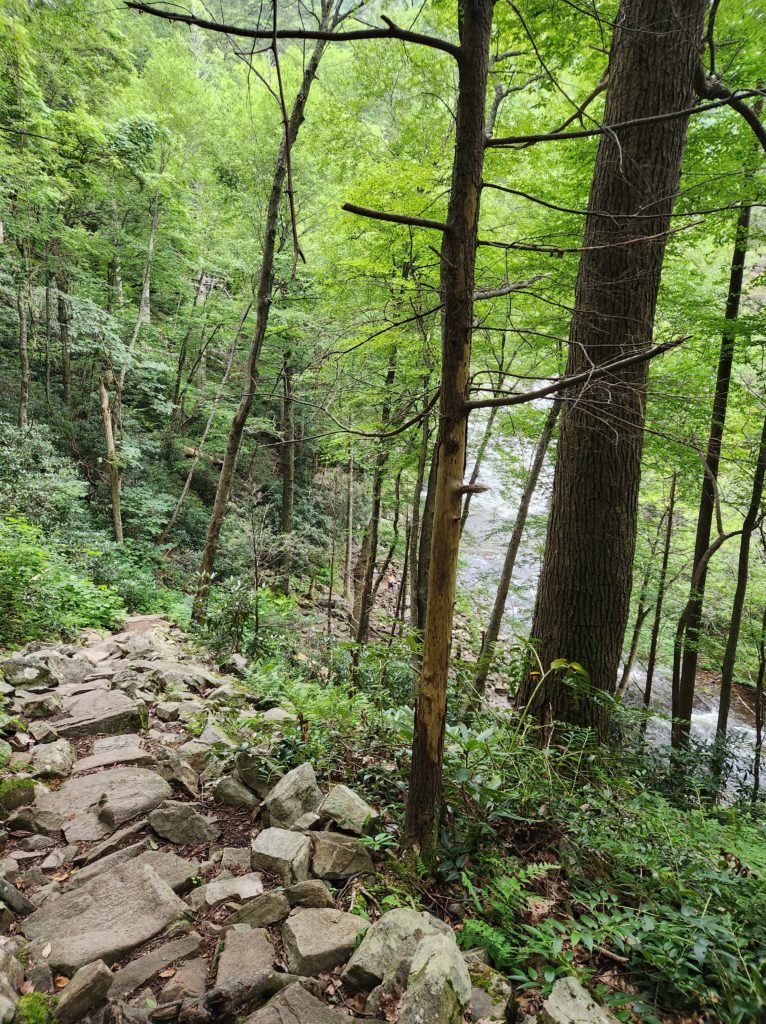 A rock path leading down through a forest, towards Laurel Falls in Hampton, TN. 