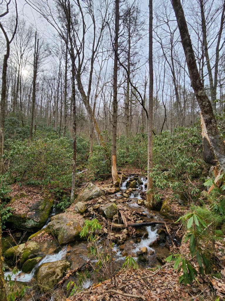 A stream flowing down through a forest. Surrounded by rocks and trees, with blue sky showing through the trees in the background.