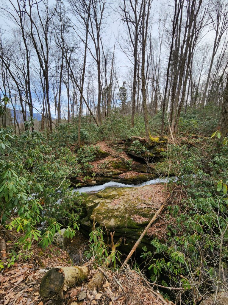 A small stream, that leads to Blue Hole Falls, flowing through a forest. Trees, bushes and rocks are all around. Blue Sky is showing through the trees in the background. 
