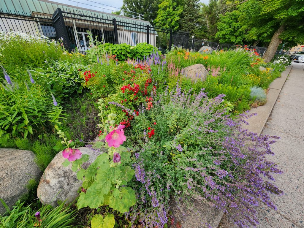 A garden full of wildflowers in front of the Soo Locks Visitor's Center. A sidewalk runs down the right side. 