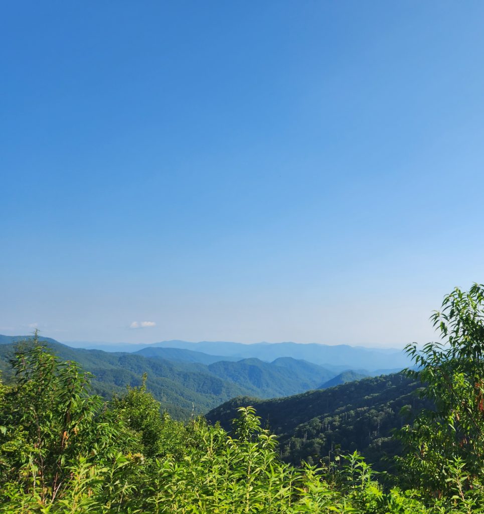 A view of the mountains in the distance, with trees all around. In the Great Smoky Mountains National Park. 
