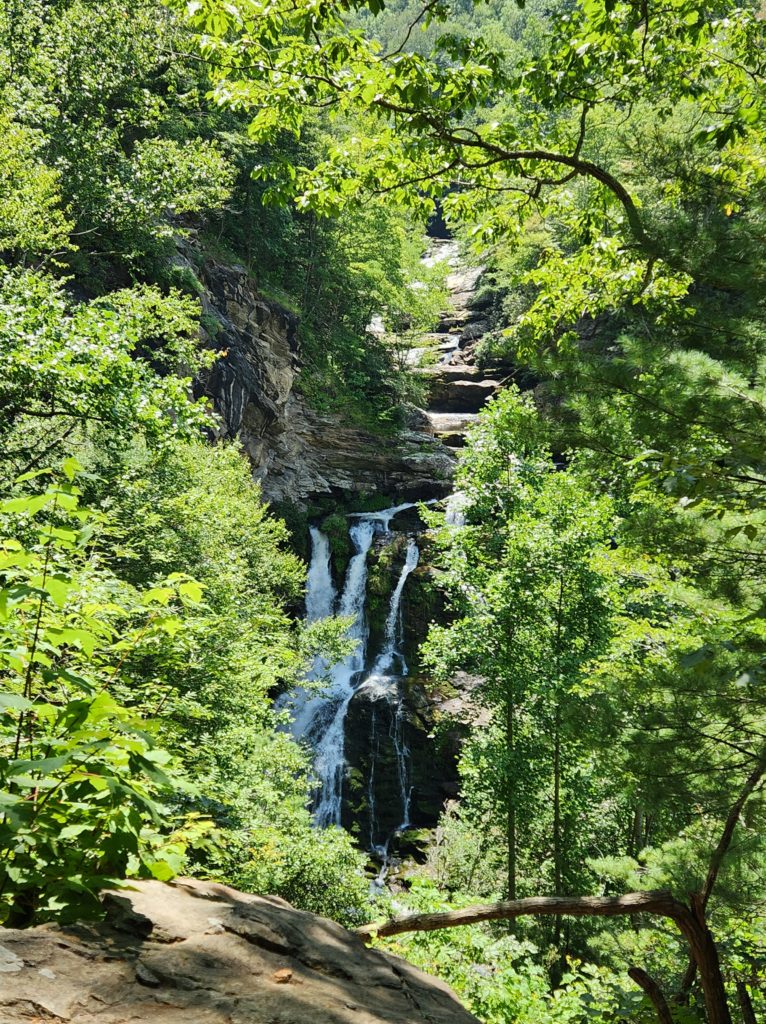 Cullasaja Falls in NC, surrounded by trees.