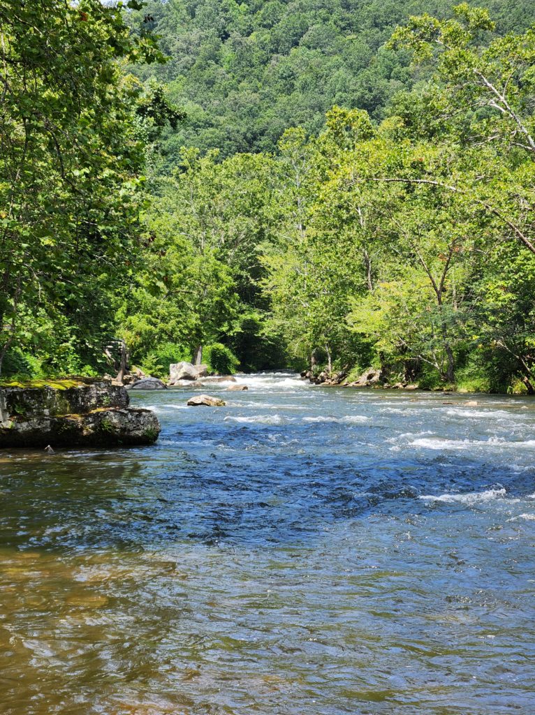 A river running through the woods. 