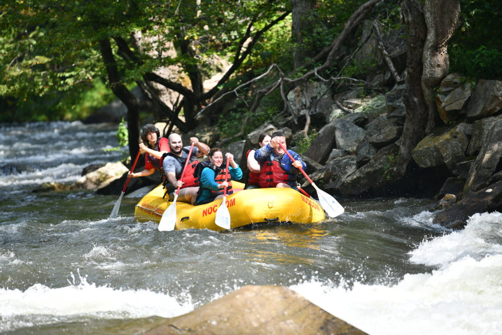 Five people in a white water rafting boat, paddling and getting ready to go over the rapids.